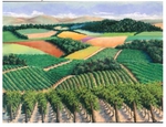 Vines to Winds by Lorraine Dye - 2022